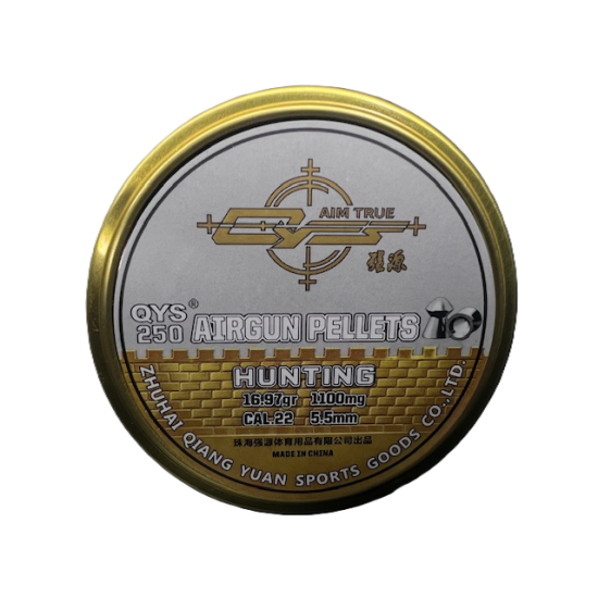 QYS Hunting .22