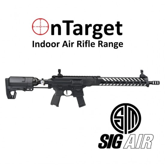 Sig Sauer MPX PCC .22